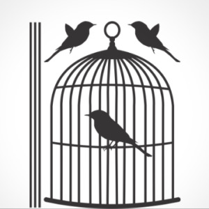 adesivo_murale_gabbiauccellini