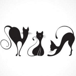 adesivo_murale_gatti