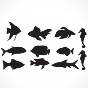 adesivo_murale_pesci