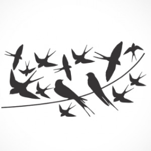 adesivo_murale_rondini