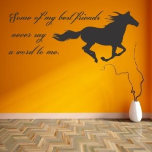 Adesivo Murale Best friends Konj
