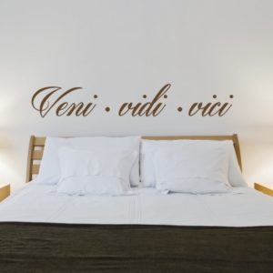 Adesivo Murale Veni Vidi Vici (2)